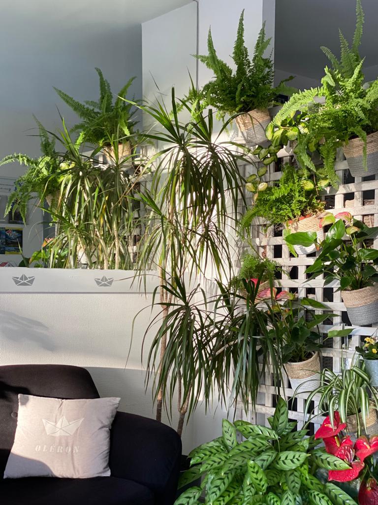 26c26578-45bf-4cce-b1d9-b40ab8f60407